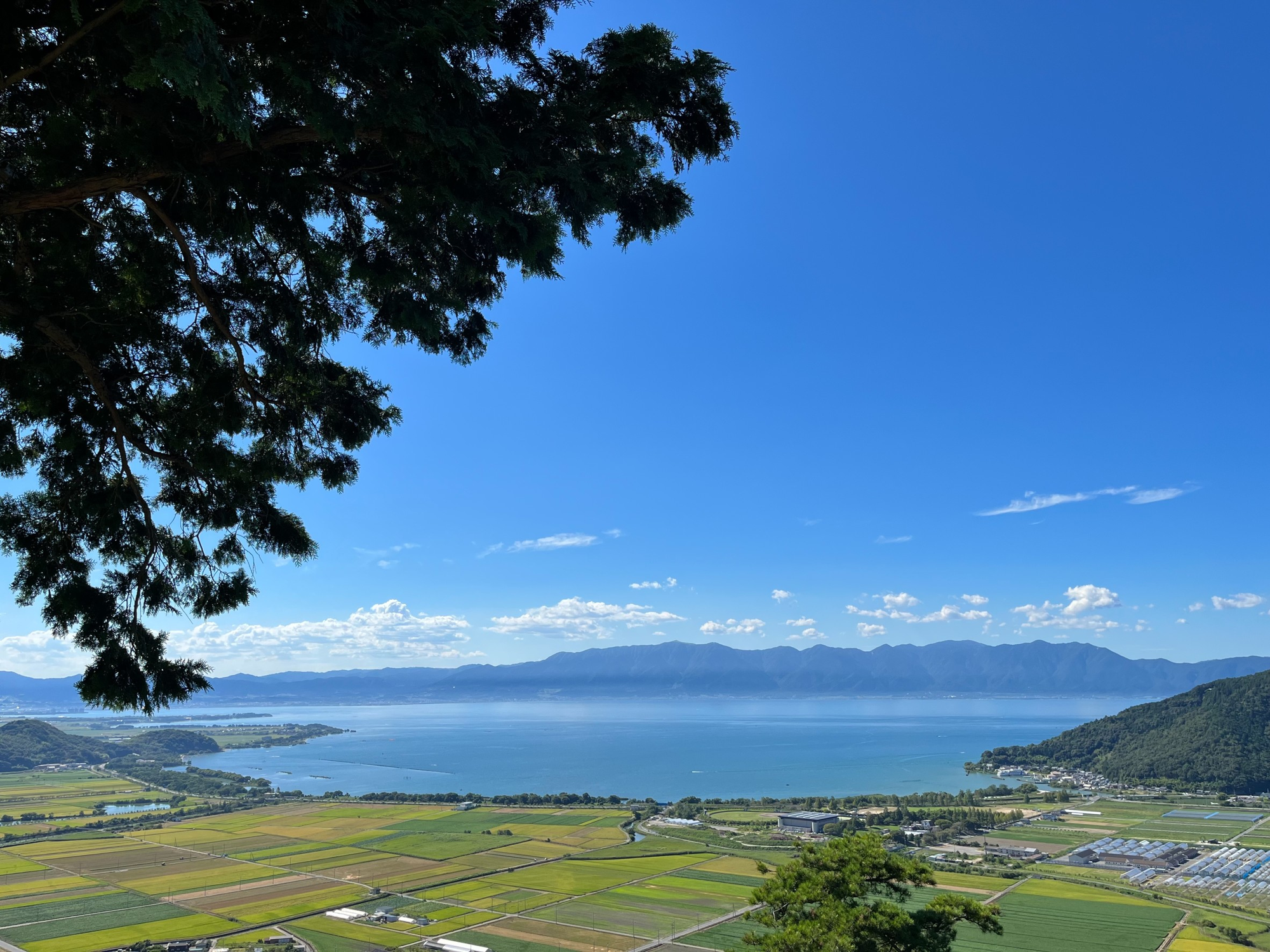 2023 日本北陸近畿旅 - 近江八幡和奈良宇治篇