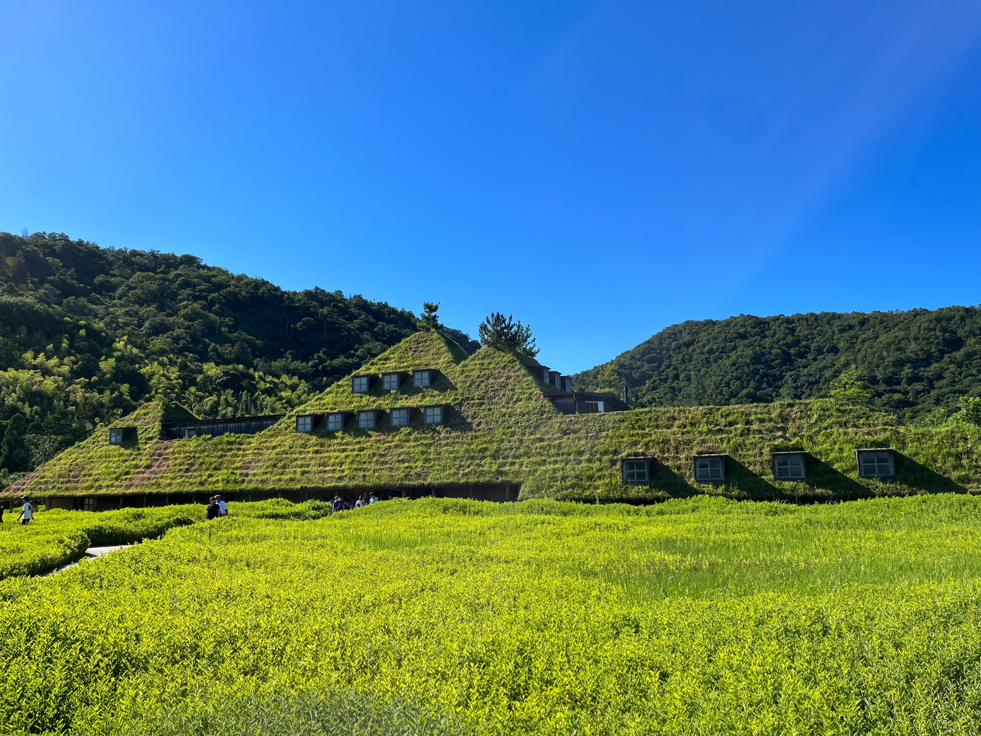 2023 日本北陸近畿旅 - 近江八幡和奈良宇治篇