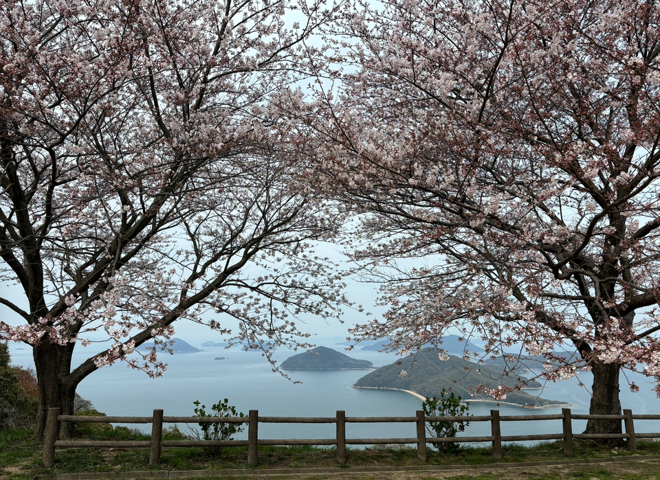 日本自由行 四國香川&瀨戶內海自駕遊 - 紫雲出山、父母之濱、高屋神社篇!