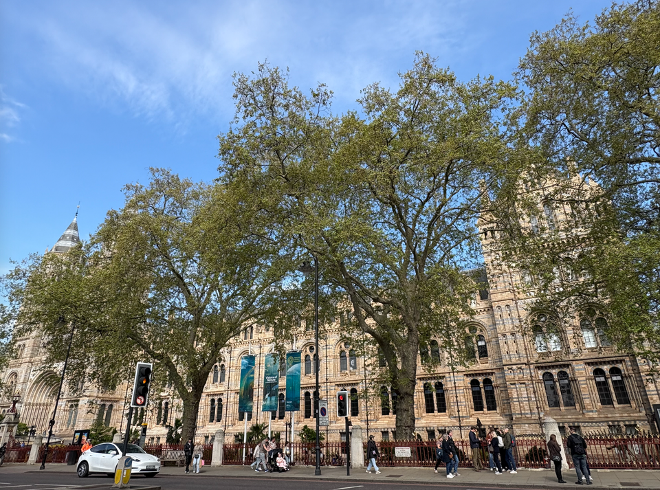 歐洲旅遊 - 倫敦自由行(上):自然歷史博物館、大笨鐘、倫敦眼、Piccadilly Circus 和 SOHO 區!